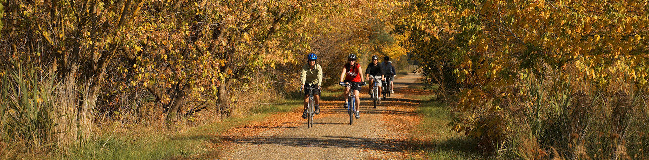 great southern bike trail