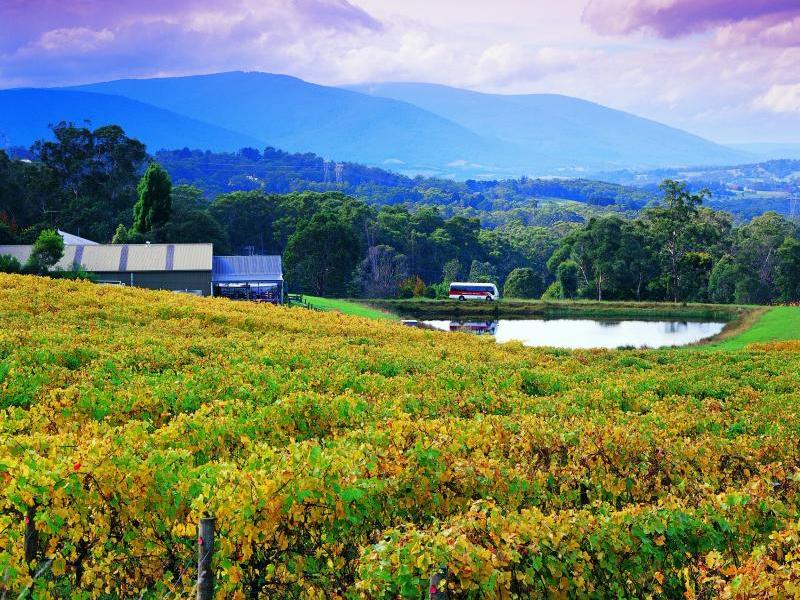 Yarra Valley photos - Travel Victoria: accommodation & visitor guide