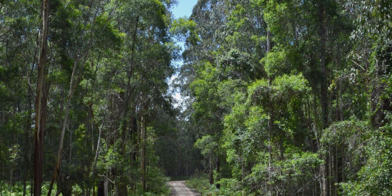 Alfred National Park