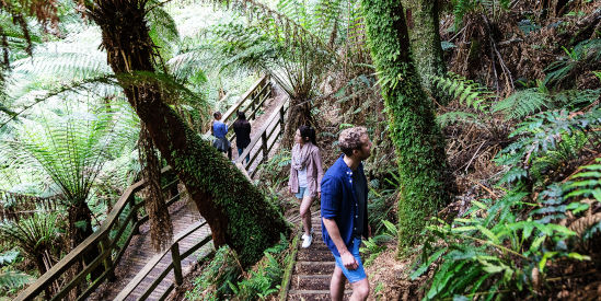 Great Otway National Park
