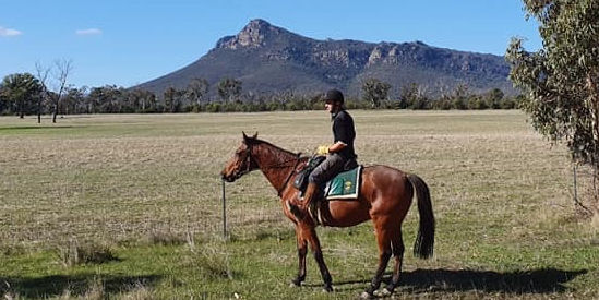 Grampians Horse Riding Adventures