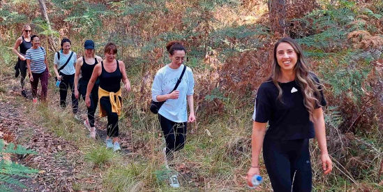 Secret Forest Walks