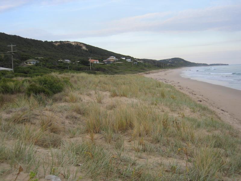 Aireys Inlet - At Memorial Arch on Great Ocean Road, Eastern View: View east along beach