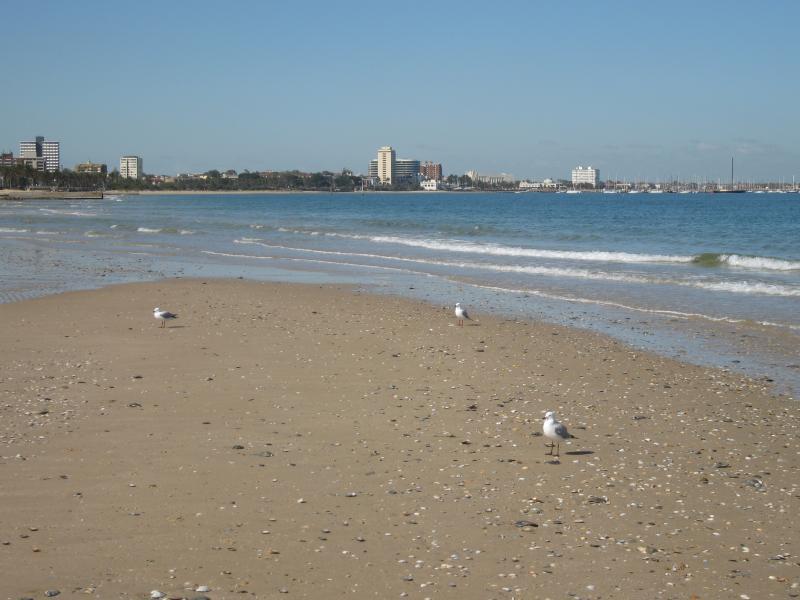 Albert Park - Beach, foreshore and Beaconsfield Parade around Mills Street: View south-east along beach