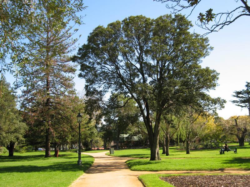 Albert Park - St Vincent Gardens and surroundings: Path through gardens
