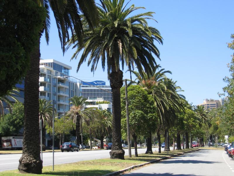 Albert Park - Albert Road: View north-east along Albert St near Moray St