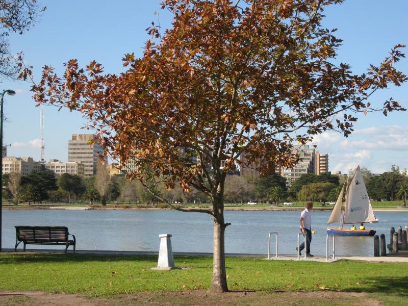 Albert Park - Albert Park Lake, jetties along Aquatic Drive and 'The Point': View east across lake between jetties and 'The Point'