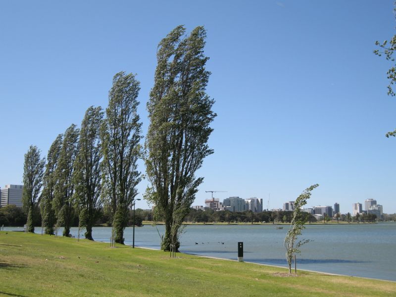 Albert Park - Albert Park Lake, Palms Lawn: View east along lake foreshore