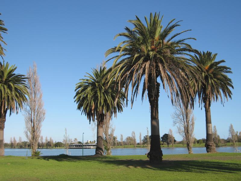 Albert Park - Albert Park Lake, Palms Lawn: View south through lawns towards lake