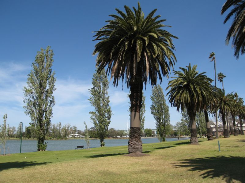 Albert Park - Albert Park Lake, Palms Lawn: View west along lake foreshore