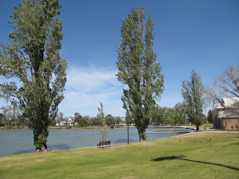 Albert Park - Albert Park Lake, Palms Lawn: View west along lake towards rowing pavillion