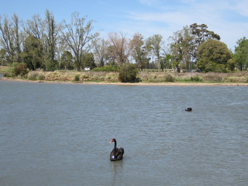 Albert Park - Albert Park Lake, Coot Picnic Area: View across lake towards Mud Island