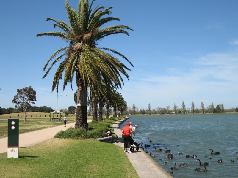 Albert Park - Albert Park Lake, Lakeside Drive opposite Gunn Island: View south along lake and path