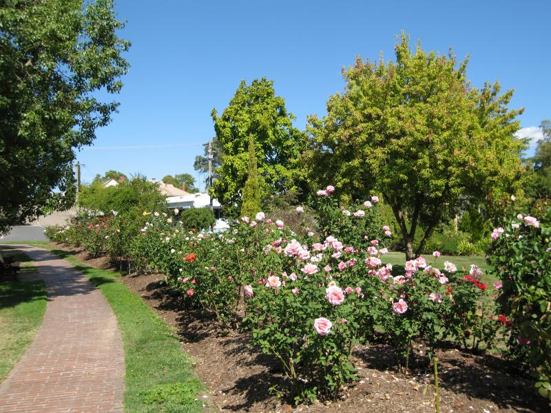 Alexandra - Jack Shiels Gardens, Perkins Street: George Braden Memorial Rose Gardens