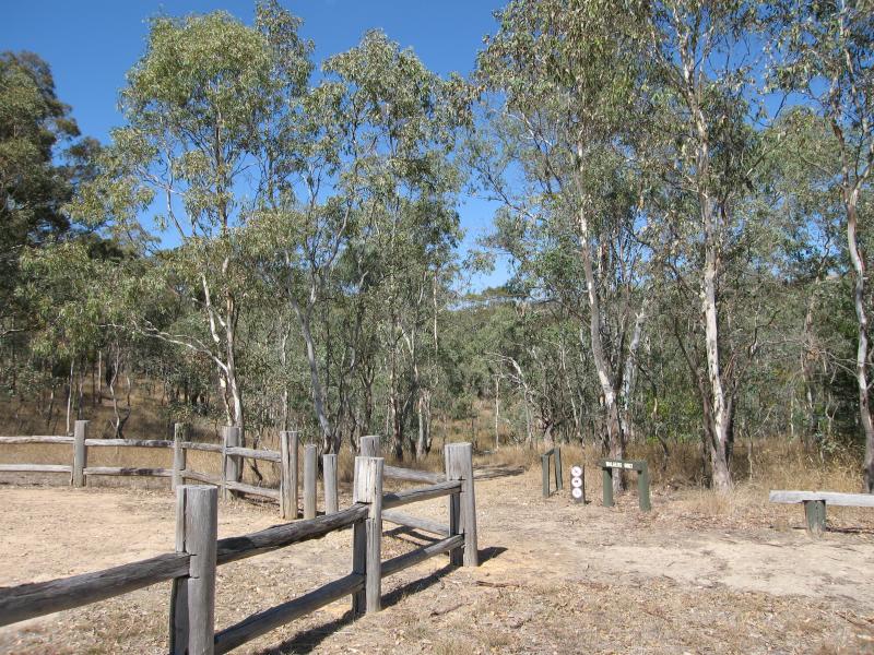 Alexandra - Mount Pleasant Road - Walking tracks at McKenzie Flora Reserve