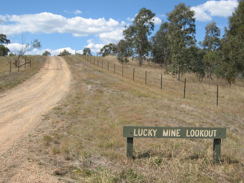 Alexandra - Lucky Mine Lookout, off Mount Pleasant Road: Access road to lookout