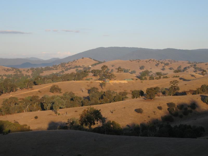 Alexandra - Acheron Cutting, Maroondah Highway south of Alexandra: Easterly view, south of Acheron Cutting