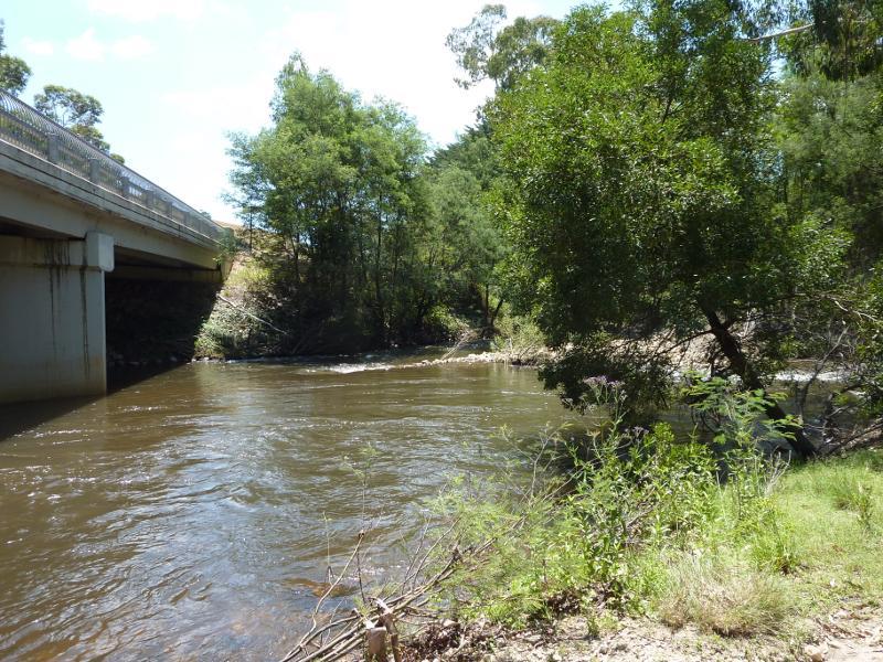 Alexandra - Taggerty: View of Acheron River from The Village Park