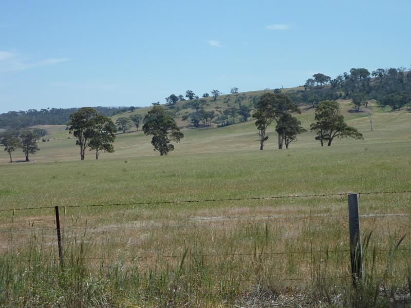 Anakie - Ballan Road, north of town centre: Westerly view, Ballan Rd, 1.5 km north of general store