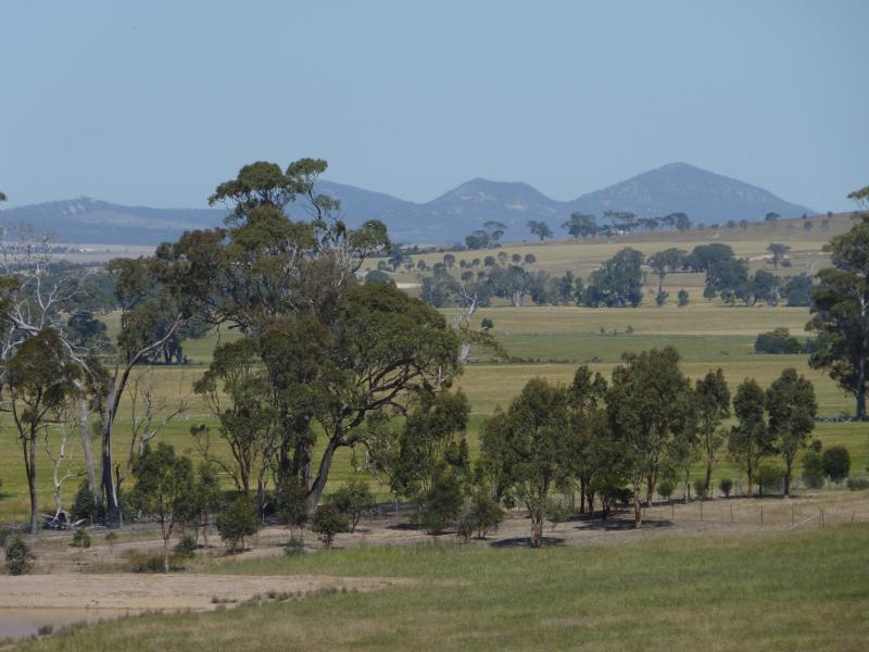 Anakie - Staughton Vale Road: South-easterly view towards The You Yangs, Staughton Vale Rd at Coyne Rd