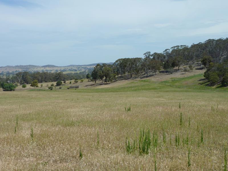 Anakie - Murphys Road and Thompson Road - Southerly view, Murphys Rd, 1.3 km north of Staughton Vale Rd