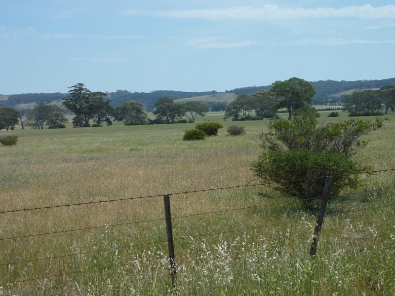Anakie - Ballan Road south of town centre: Westerly view, Ballan Rd near Church La