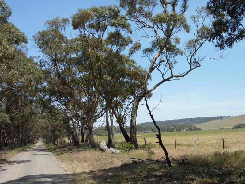 Anakie - De Motts Road west of Ballan Road: View south along Durdidwarrah Rd at De Motts Rd