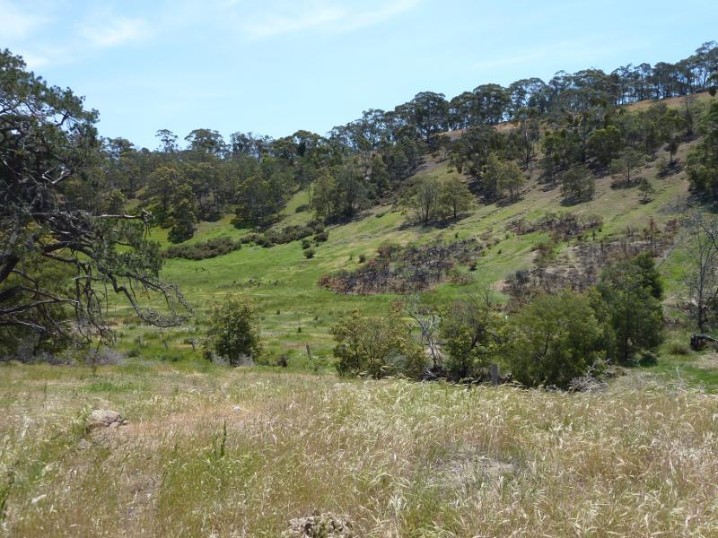 Anakie - Town of Steiglitz, town centre: Northerly view, Meredith Rd at Clow St