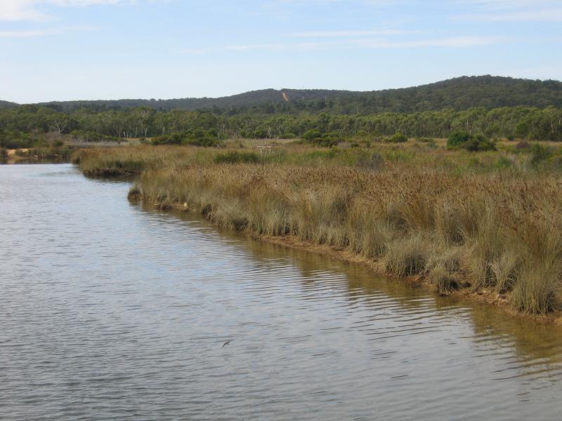 Anglesea - Coogoorah Park, River Reserve Road: Wetlands