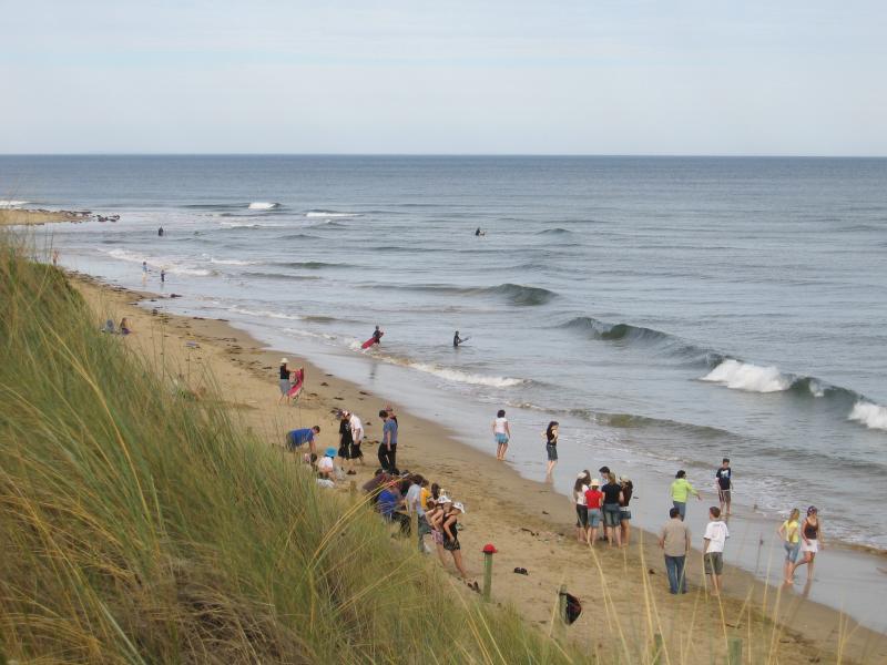 Anglesea - Surf Beach area near Anglesea River: View east along coast