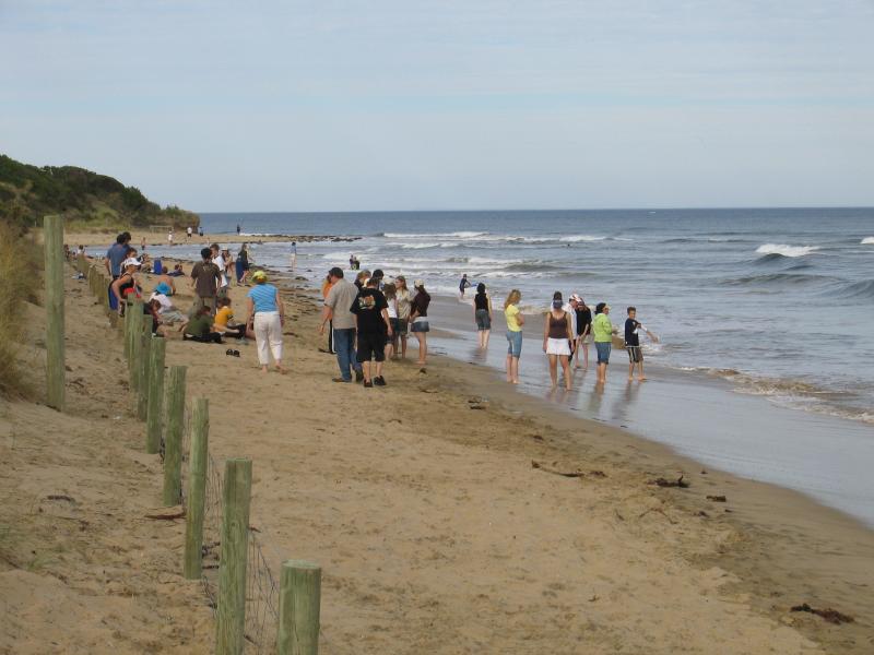 Anglesea - Surf Beach area near Anglesea River: View east along beach