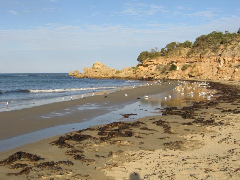 Anglesea - Point Roadknight: View east along beach to Point Roadknight