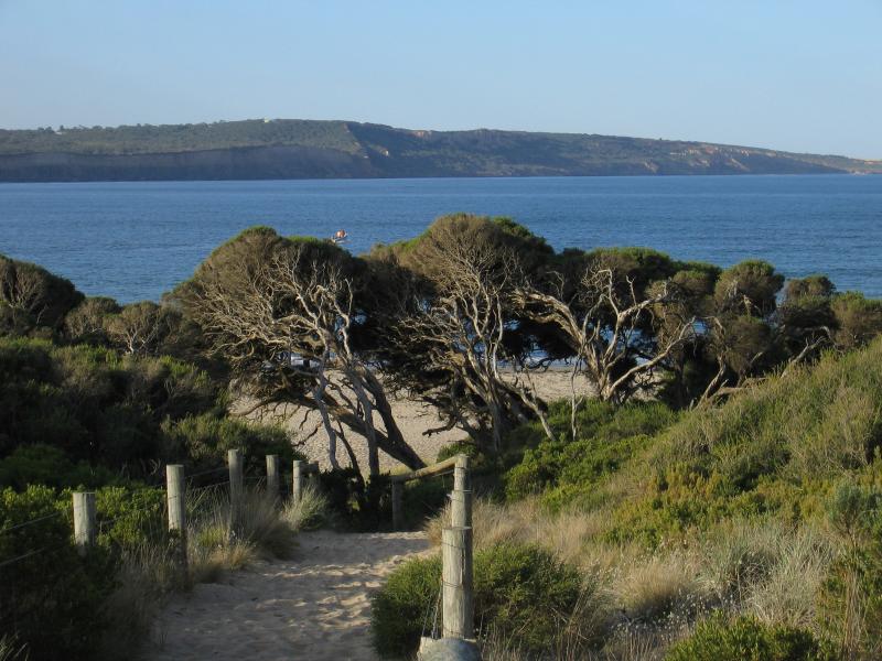 Anglesea - Point Roadknight: View north from walking track between car park and beach south-west of Point Roadknight