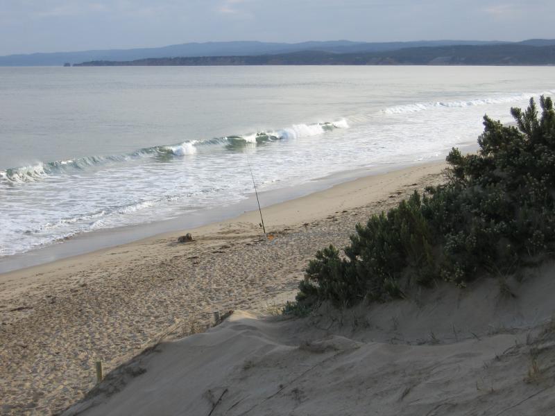 Anglesea - Point Roadknight: View west along coast at beach south-west of Point Roadknight