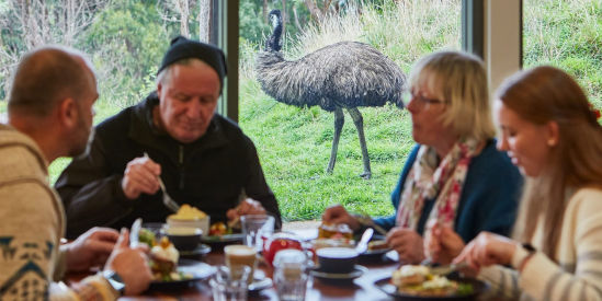 Emu Cafe, Apollo Bay