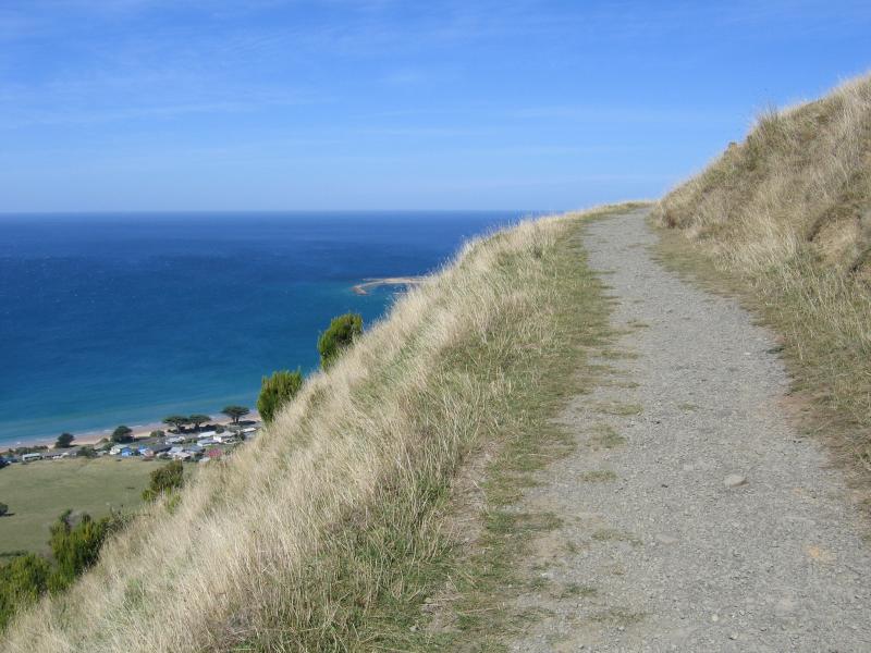 Apollo Bay - Marriners Lookout: Walking track to lookout