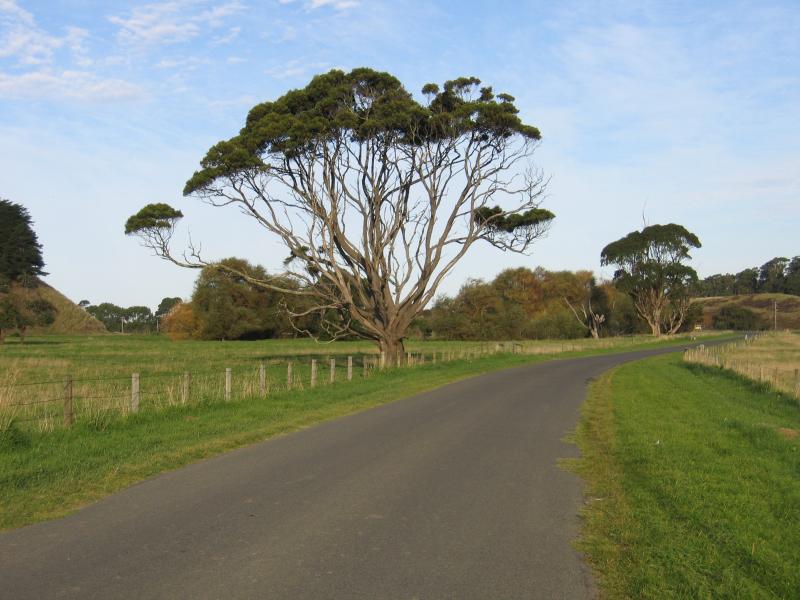 Apollo Bay - Barham Valley: Barham River Rd
