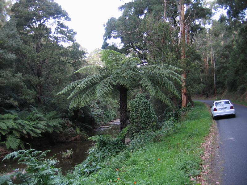 Apollo Bay - Barham Valley: View along Barham River