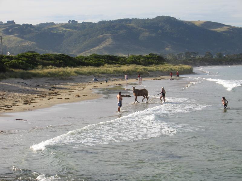 Apollo Bay - Town of Marengo, south of Apollo Bay: Horse on the beach near Marengo Cres