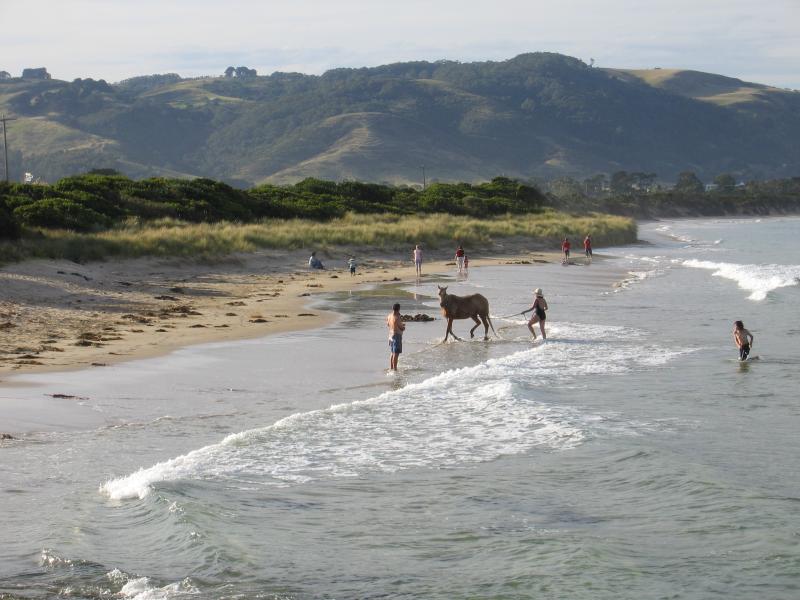 Apollo Bay - Town of Marengo, south of Apollo Bay - Horse on the beach near Marengo Cres