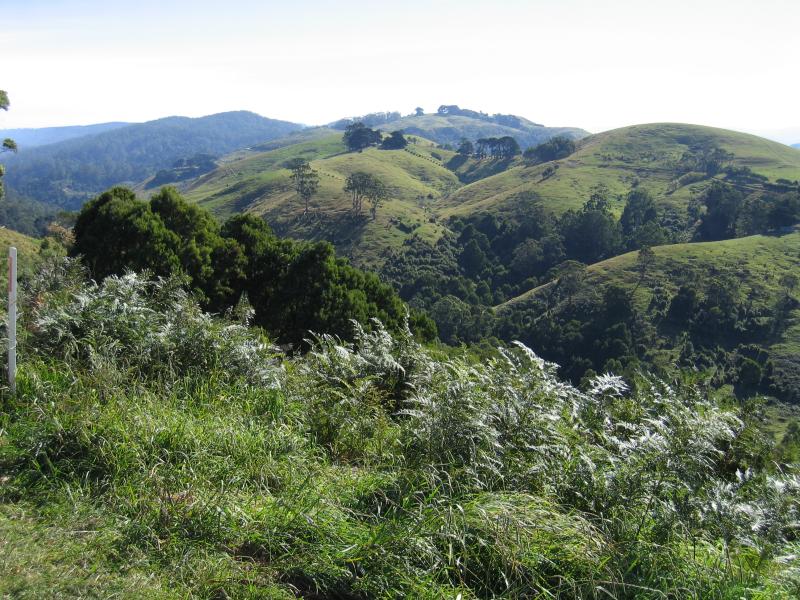 Apollo Bay - Town of Marengo, south of Apollo Bay: View of hills, Great Ocean Road between Marengo and Cape Otway