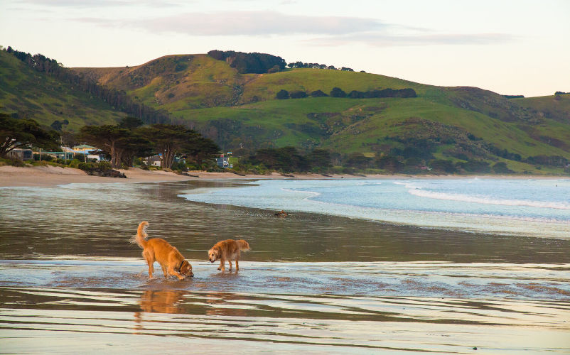 Seaspray Beach House - The beach