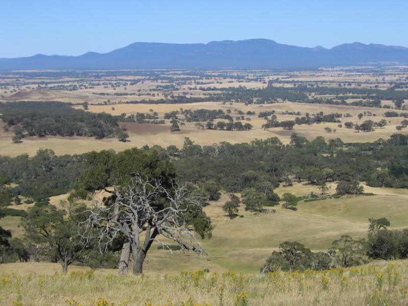 Ararat - One Tree Hill and Pioneer Memorial Lookout: Westerly view towards Mount William Range at Grampians National Park