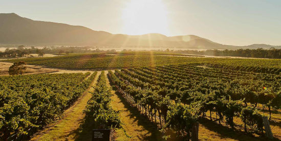 Mount Langi Ghiran, Bayindeen