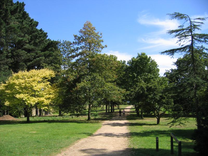 Arthurs Seat - Seawinds Gardens, Arthurs Seat State Park, Purves Road: Walking track