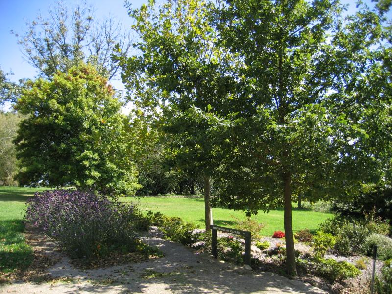 Arthurs Seat - Seawinds Gardens, Arthurs Seat State Park, Purves Road: Gardens near Ricketts Pond