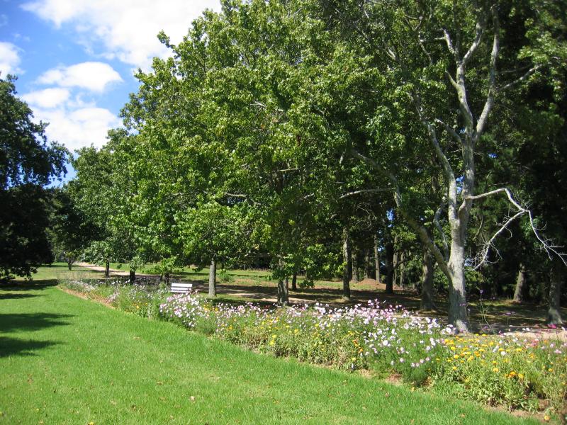 Arthurs Seat - Seawinds Gardens, Arthurs Seat State Park, Purves Road: Path to Bay Lookout