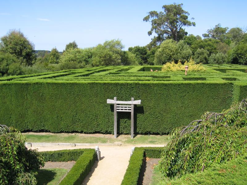 Arthurs Seat - The Enchanted Maze Garden, Purves Road: View towards Hedge Maze