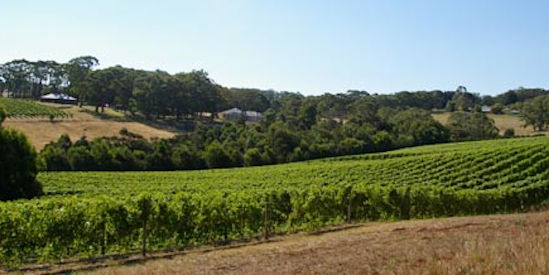 Miceli, Arthurs Seat