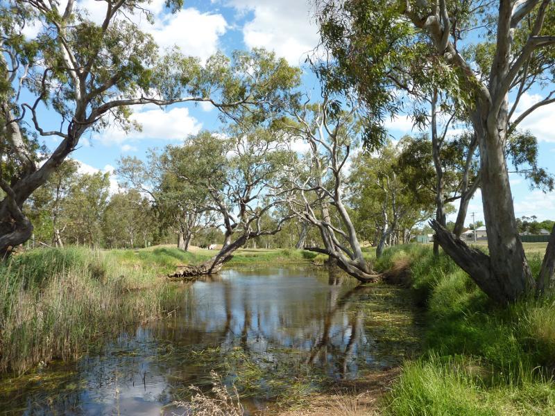 Avoca - Avoca River and surrounding parkland between Pyrenees Highway and Duke St: View south along Avoca River at Duke St